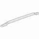 GM 25931606 Rail, Passenger Side