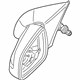 GM 13253342 Mirror Assembly, Rear Passenger Side