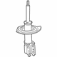 GM 19122332 Strut, Driver Side