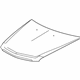 GM 19417144 Hood