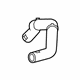 GM 84186464 Upper Hose