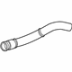 GM 84186463 Lower Hose