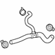 GM 22884203 Lower Hose