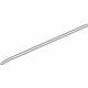GM 10372799 Lower Weatherstrip, Driver Side