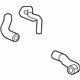 GM 84128674 Lower Hose