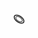 GM 55556224 Guide Tube Seal