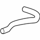 GM 22632790 Upper Hose