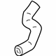 GM 10333863 Lower Hose
