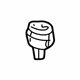 GM 13584255 Socket & Wire