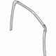 GM 42550301 Run Weatherstrip, Front Driver Side