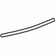 GM 25840875 Stripe, Silver, Driver Side