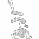 GM 23480142 Shifter Assembly