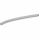 GM 20876478 Roof Molding, Front