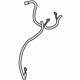 GM 84884431 Negative Cable