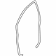 GM 25913654 Weatherstrip On Body, Front Upper Driver Side