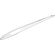 GM 84885596 Rocker Molding, Driver Side, Carbon