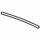 GM 13124172 Seal Strip, Rear Driver Side