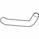 GM 25901749 Filler Hose