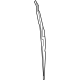 GM 85536039 Front Weatherstrip, Driver Side