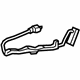 GM 23245716 Lamp, Front Passenger Side