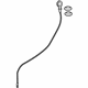 GM 12684910 Dipstick
