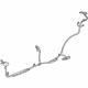 GM 22817961 Wire Harness