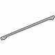 GM 23224855 Upper Molding, Silver, Rear Driver Side