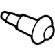 GM 55493610 Water Outlet Bolt