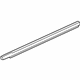 GM 23193174 Belt Weatherstrip, Rear Driver Side