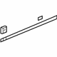 GM 19259272 Side Molding, Outer Passenger Side