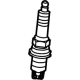 GM 55511557 Boot