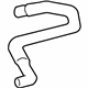 GM 15659486 Upper Hose