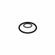 GM 20049623 Bezel Nut