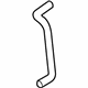 GM 23166802 Lower Hose