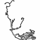GM 22874234 Harness, Front
