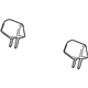 GM 20800275 Headrest, Titanium, Rear