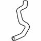 GM 22712138 Lower Hose