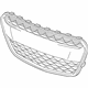 GM 42352967 Lower Grille