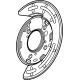 GM 84523900 Backing Plate, Driver Side