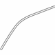 GM 22903159 Drip Molding, Driver Side