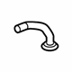 GM 23200276 Drain Hose, Lower