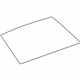 GM 15816116 Back Glass, Rear