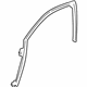 GM 25769330 Glass Weatherstrip, Front Passenger Side
