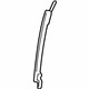 GM 25745481 Run Channel, Passenger Side