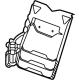 GM 13540884 Lumbar Support