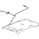 GM 84061471 Headliner, Titanium
