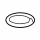 GM 15290160 Trim Plate Insert