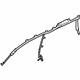 GM 15252262 Inflator Curtain, Driver Side