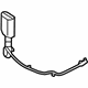 GM 19316941 Buckle, Passenger Side