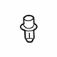 GM 19316747 Cowl Grille Retainer